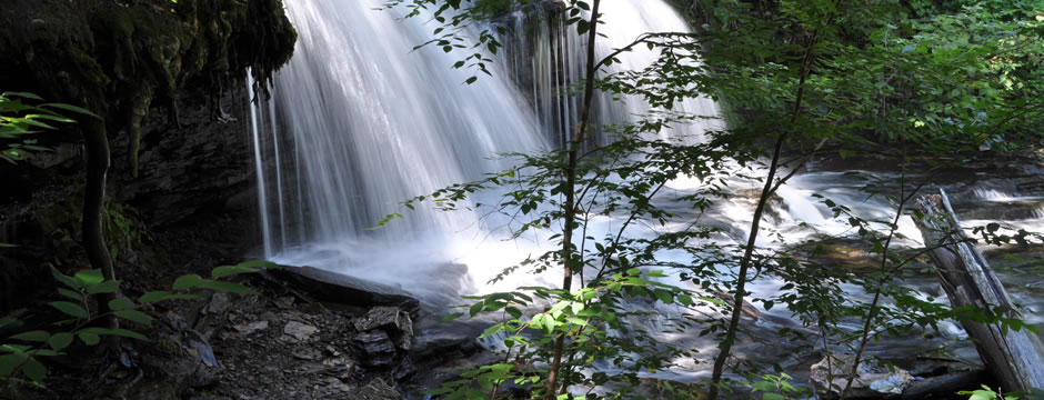 免费短信电话轰炸机