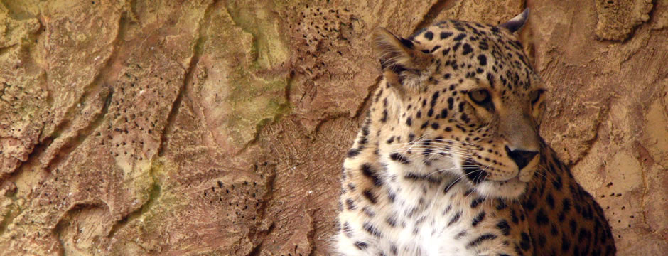 无限轰炸手机软件手机号下载